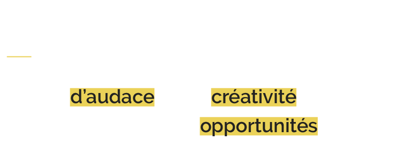 INGENIOSITE_TEXTE